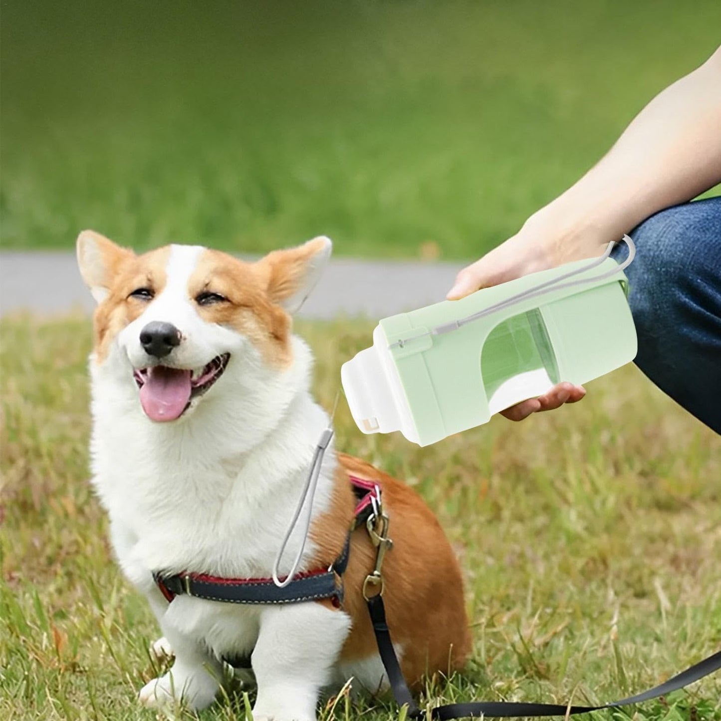 2-in-1 Pet Water Bottle & Food Container – Travel Feeder for Dogs, Cats & Pets